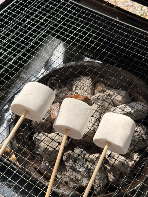 서울 근교 캠크닉 • 가을 캠핑 • 북한산 둘레 캠프 • 3시간...