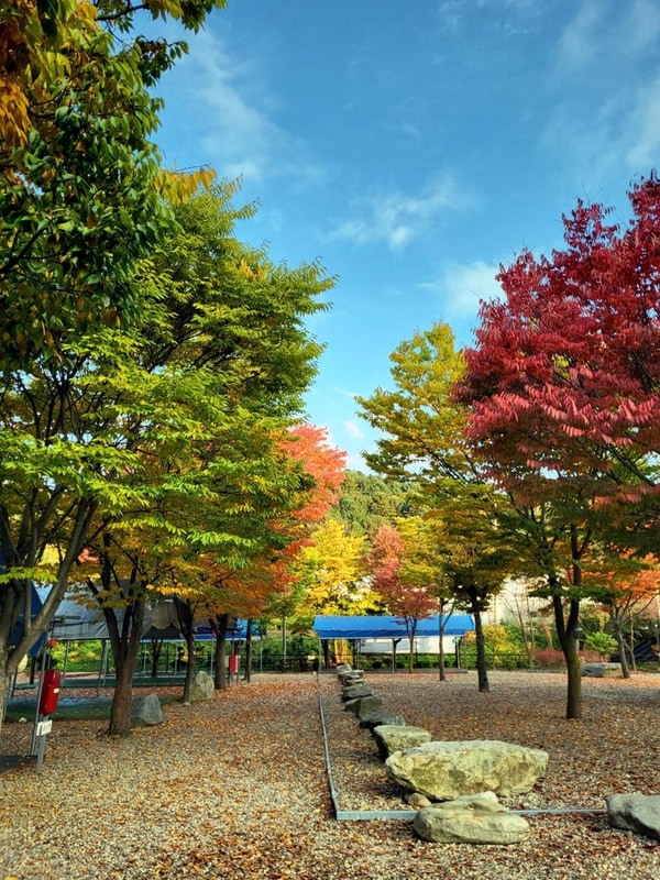 하오재캠핑장 시설 사진 8