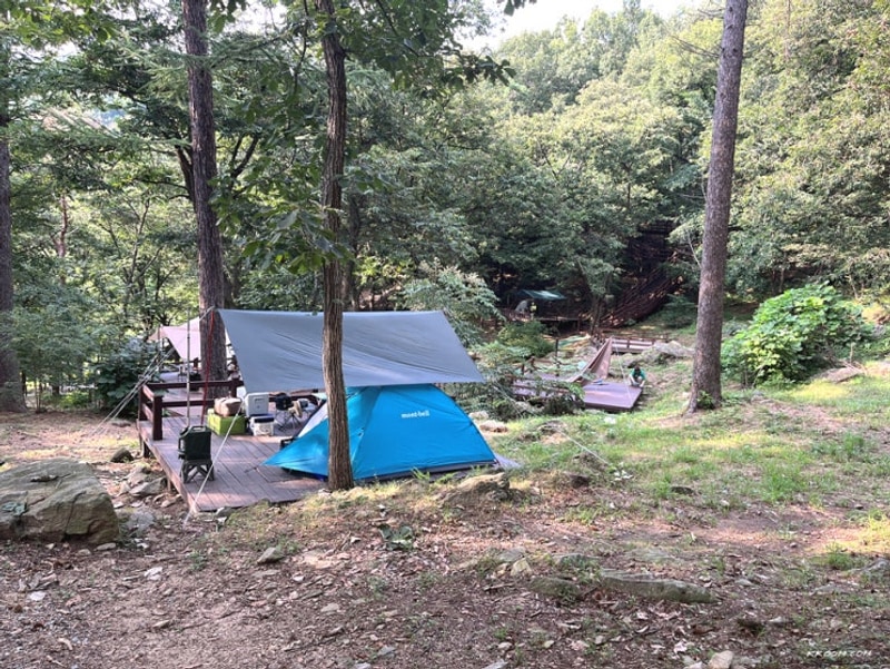 용인 자연휴양림 캠핑장 야영데크 명당 예약, 콩게미 콩국수...