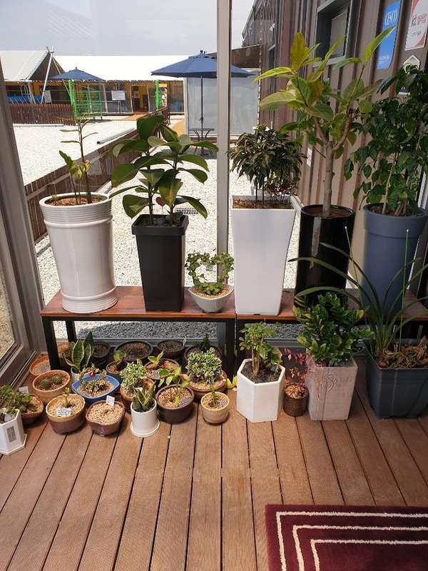 정화네불한증막 힐링캠프 시설 사진 1