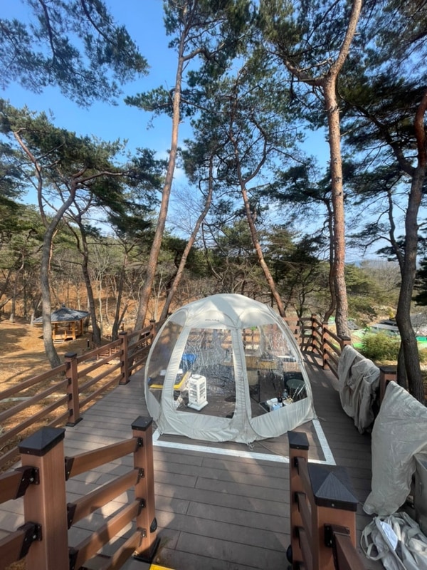 전북 남원캠핑장 남원 교룡공원 숲속야영장 B11후기