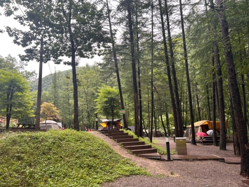 [강원 화천] 만산동국민여가캠핑장 - 장마 끝 무더위를 피해...