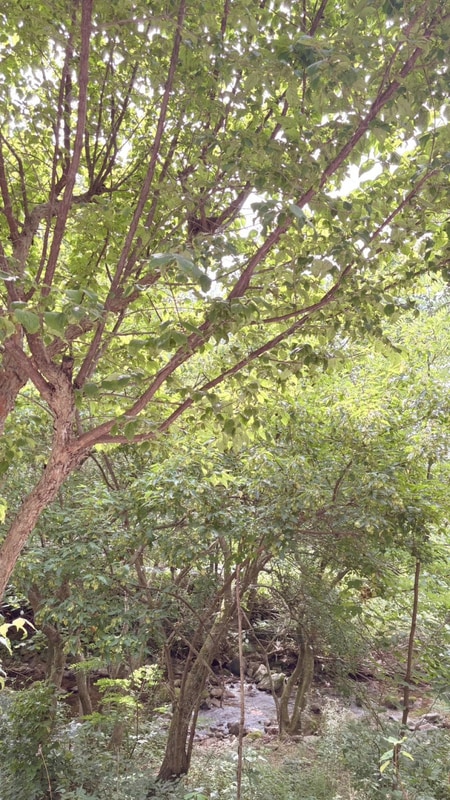 2주만에 재방문한 제천 계곡캠핑장 달재오토캠핑장