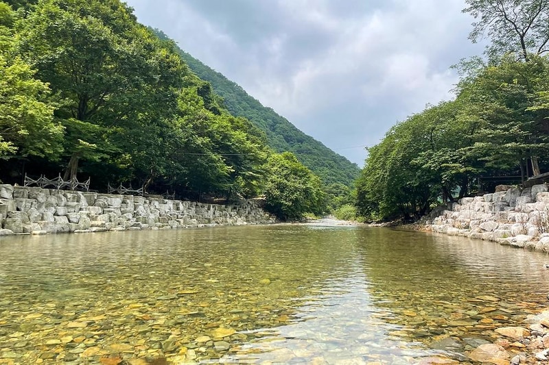 숲스토리야영장 시설 사진 11