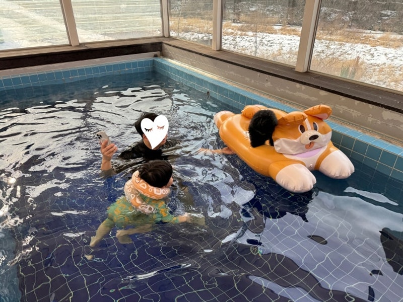 가평 아이섬 풀 글램핑 애견동반