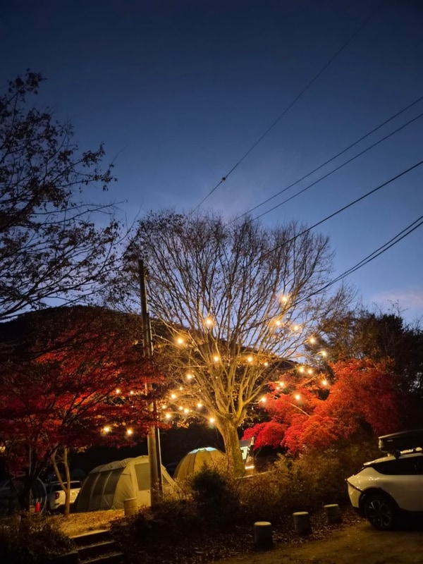 상주 펀펀오토캠핑장 밤풍경과 가족여행 후기, 조용하고...