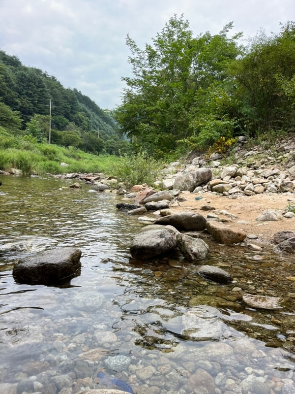 8월 영월 청산캠프