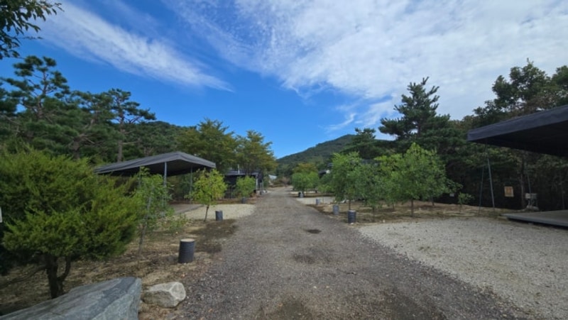 강원도 계곡 단체 아이랑 연천 캠핑장 철원가산농원캠핑장 H4