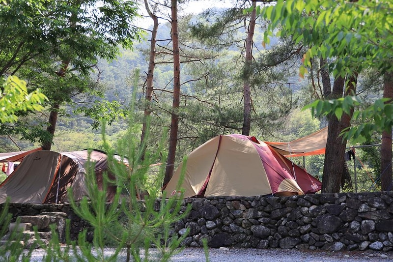 내리계곡 솔바람 캠핑장 시설 사진 37