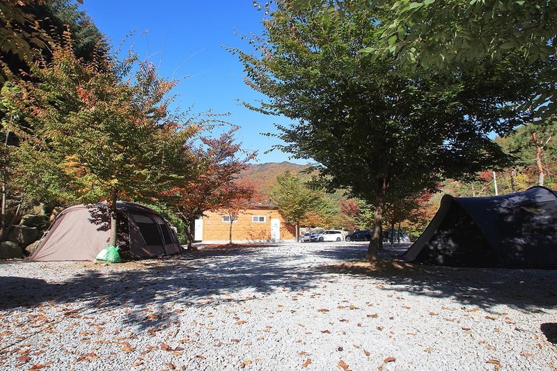 비로야영장 시설 사진 9