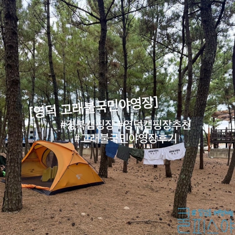 경북 영덕 캠핑장 추천 고래불 국민야영장 후기