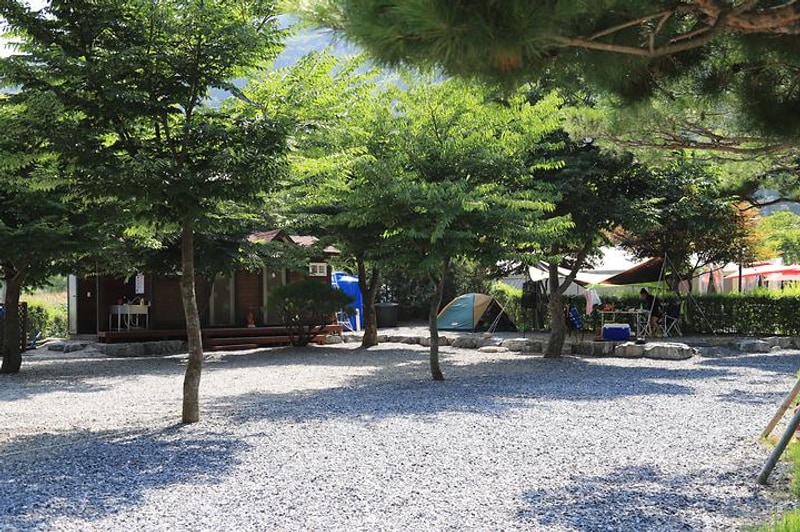 수희재캠프 대표 사진