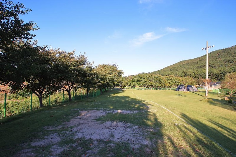 칠포오토캠핑장 시설 사진 1