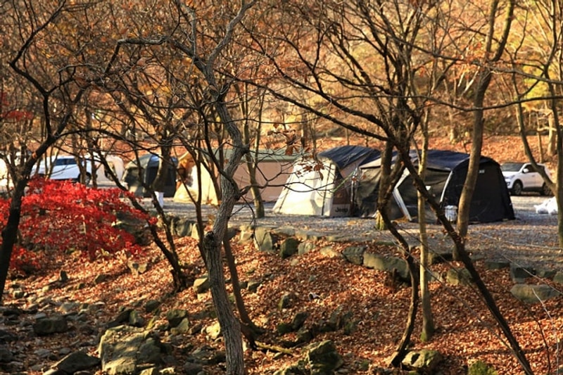 11월 추천 캠핑여행지 - 충남 금산 산림문화타운 야영장
