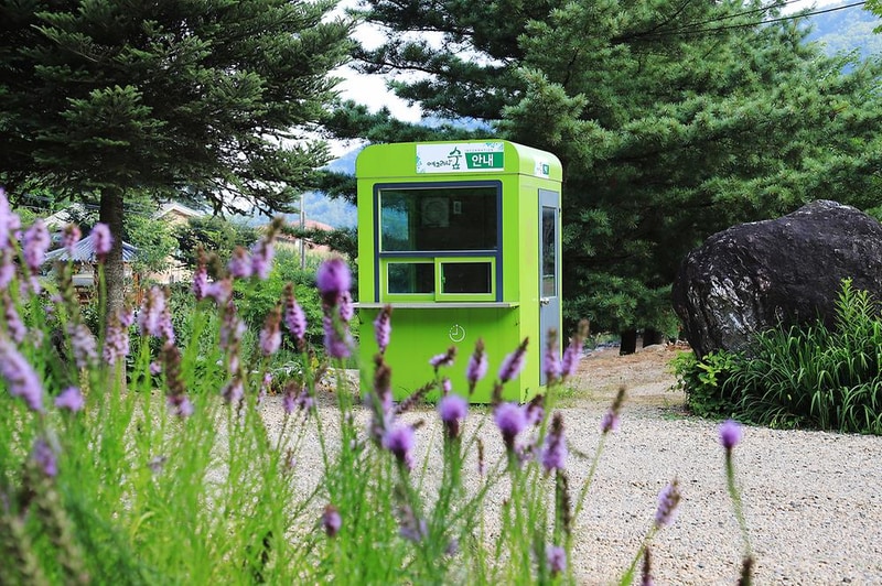 예그리나숲 시설 사진 1