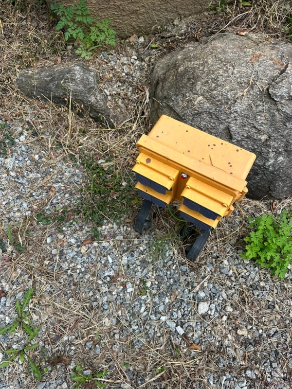 포천 오토캠핑장, 금동휴양림캠프2 3캠프 24번 데크존