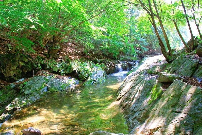 자연에 머물다 시설 사진 15