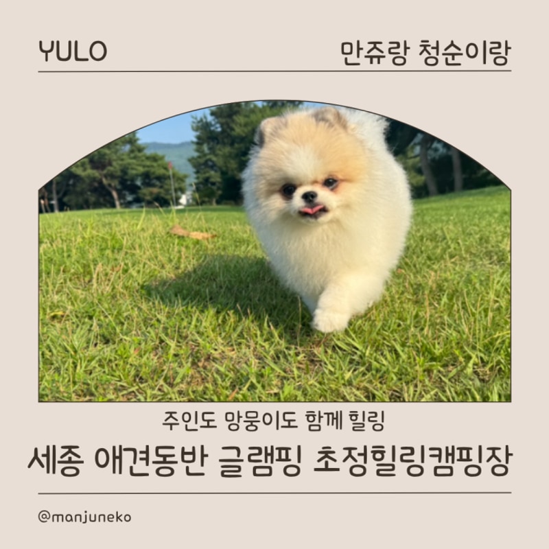 청주 세종 애견동반 글램핑 신상카라반 초정힐링캠핑장