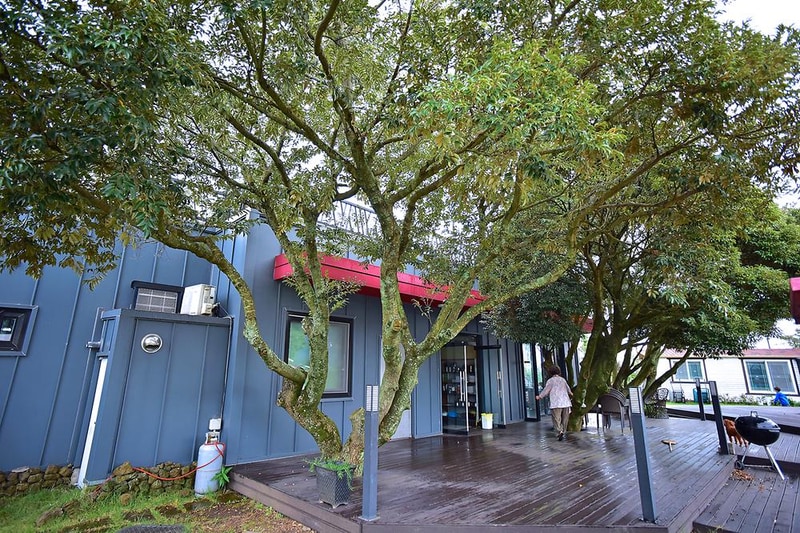 에코힐글램핑 시설 사진 4