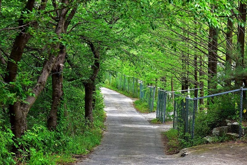 옥샘캠핑장 시설 사진 7