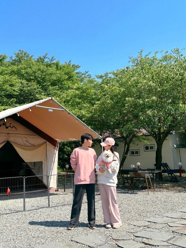 대전근교애견글램핑 애견동반여행 서산펫앤트리펜션