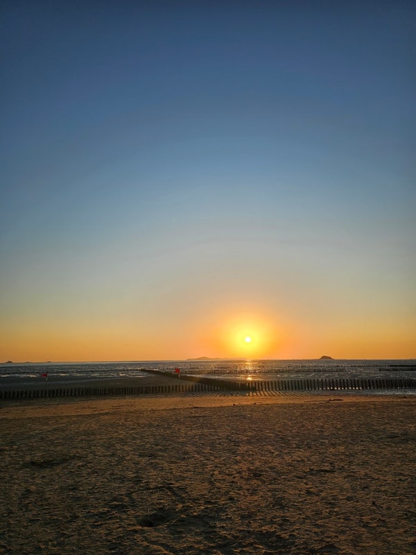 서천 장항 솔바람캠핑장 솔직 후기 가족 캠핑요리부터...