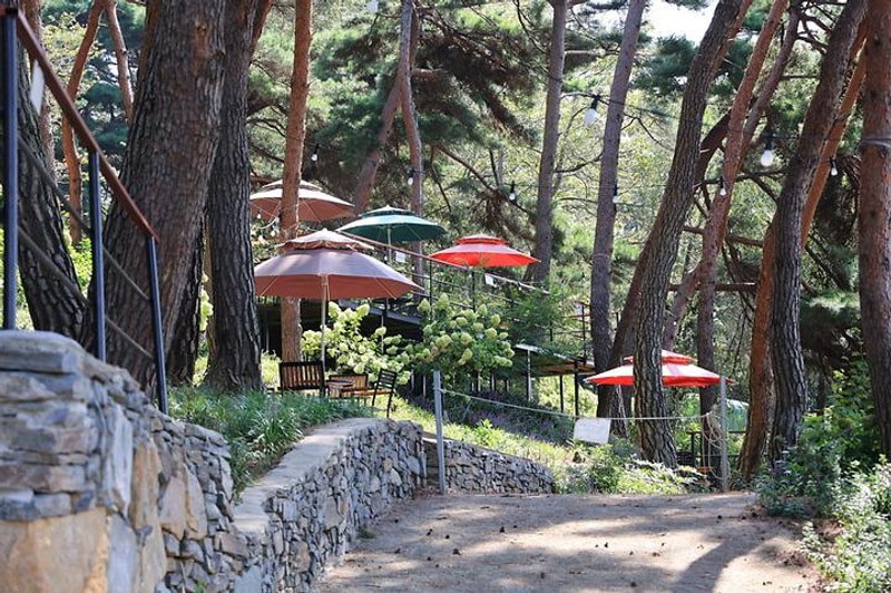 청춘별곡 대표 사진