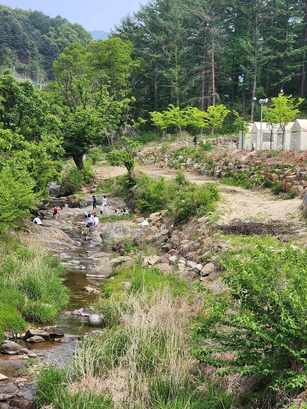 코알라캠핑장 시설 사진 24