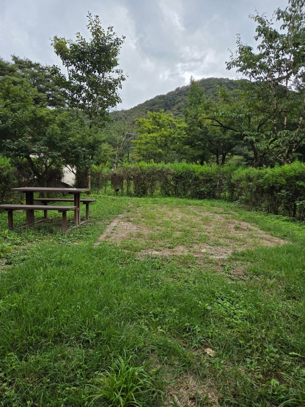 장성 캠핑장 내장산국립공원 백양사 가인 야영장 후기