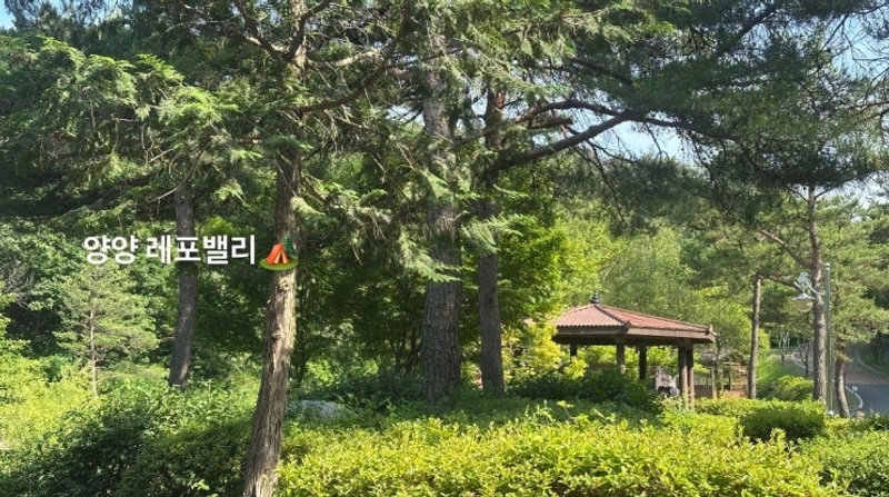 양양 캠핑장 레포밸리 하늘캠핑장 양양송이밸리 놀거리가 있는...