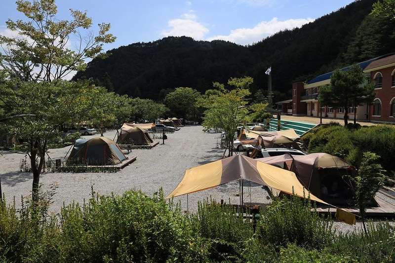 봉화솔향가득서울캠핑장 시설 사진 6