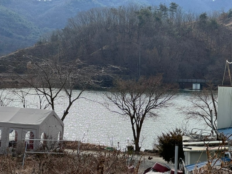 [캠핑] 대전 근교 애견 동반 가능 캠핑장 공주 캠핑노리