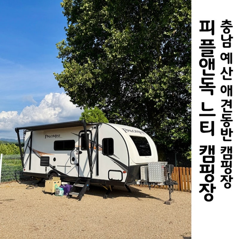 예산 애견동반 캠핑장 개별울타리 넓은 잔디밭 피플앤독느티캠...