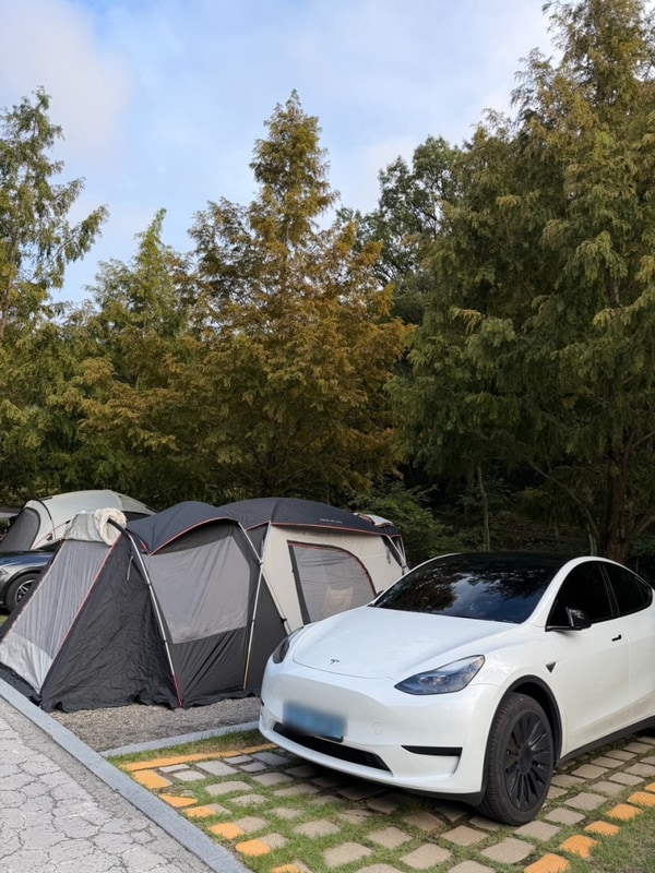 대구 수성구 캠핑장 진밭골 야영장