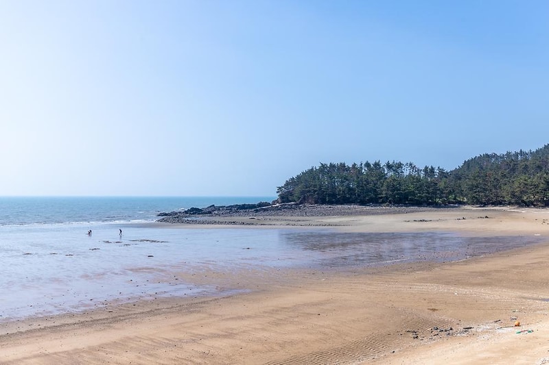 사목힐링캠프 태안캠핑농원 시설 사진 7