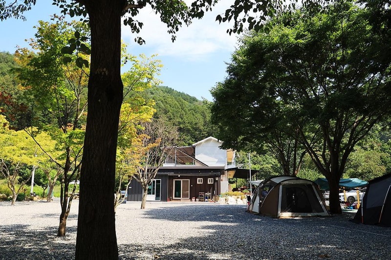 새솔캠핑장&펜션 시설 사진 2