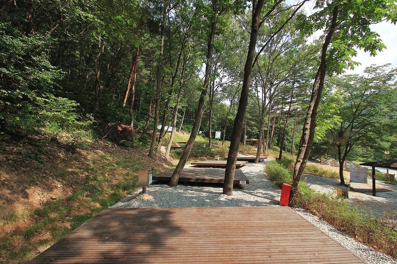 용현 자연휴양림 야영장 시설 사진 5