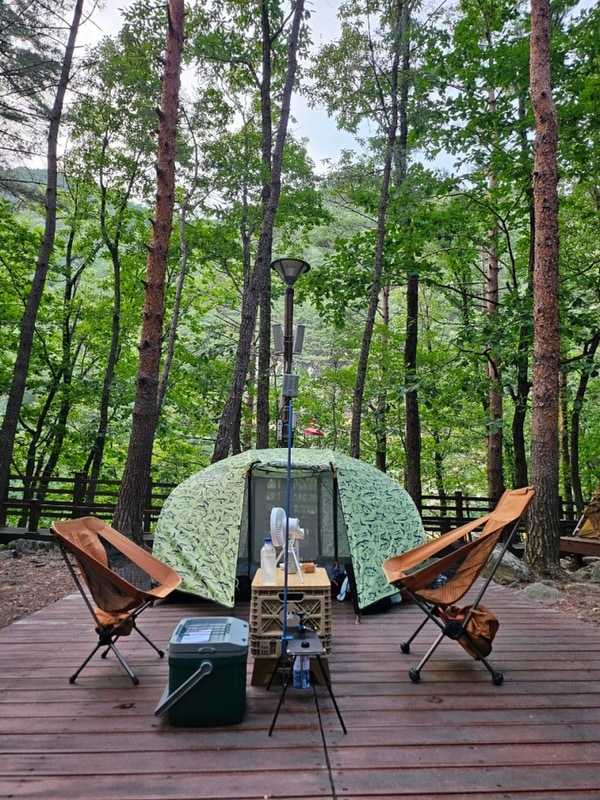 동해_무릉계곡 힐링캠핑장