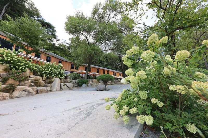 솔솔리조트 시설 사진 14