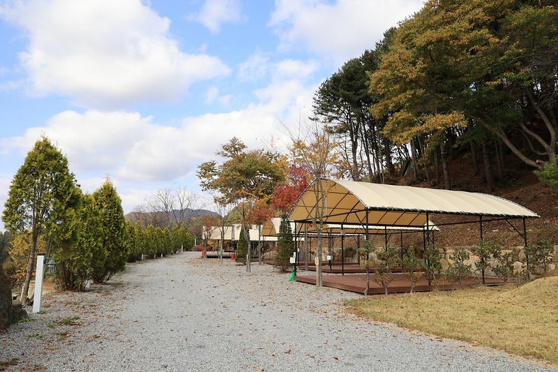 금동휴양림캠프1 시설 사진 8
