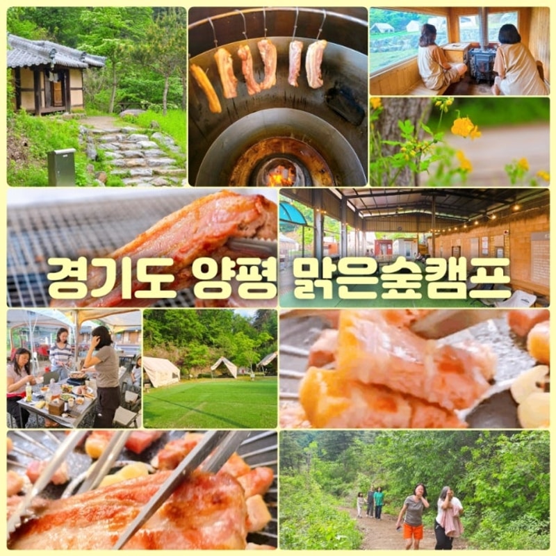 양평 펜션 단체 숙소 독채 한옥 워크샵 맑은숲캠프 패키지 여행