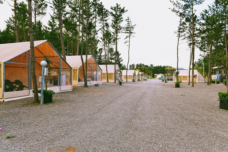 신두리정원오토캠핑야영장 시설 사진 18