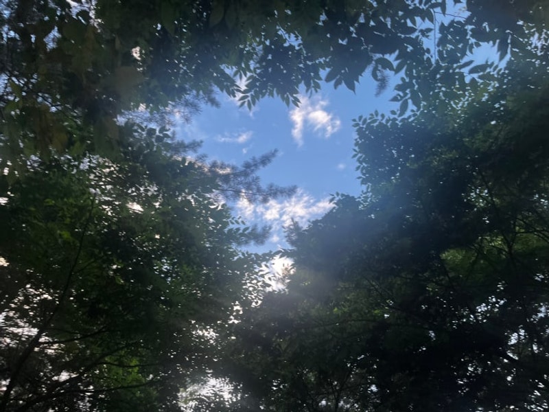 포천 캠핑장 / 하얀숲 오토 캠핑장