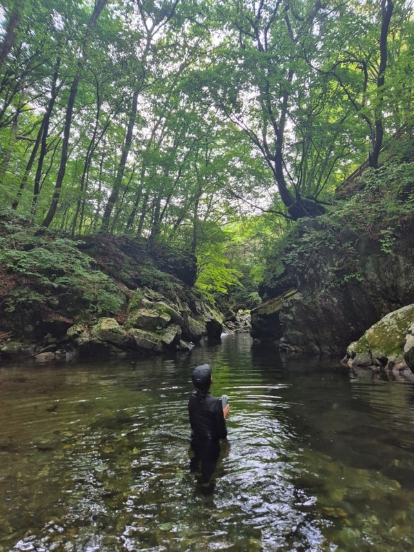 나만 알고싶은 평창 캠핑장 펜션벨뷰&캠핑장(강원도 계곡...