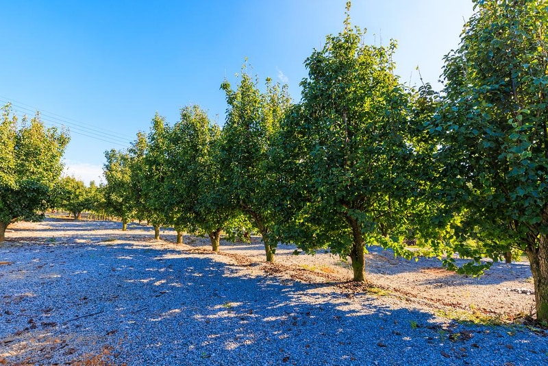 팜앤투어 캠핑장 시설 사진 7