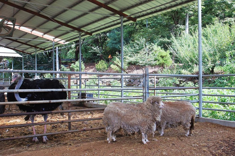 햇살아래 캠핑장 시설 사진 14