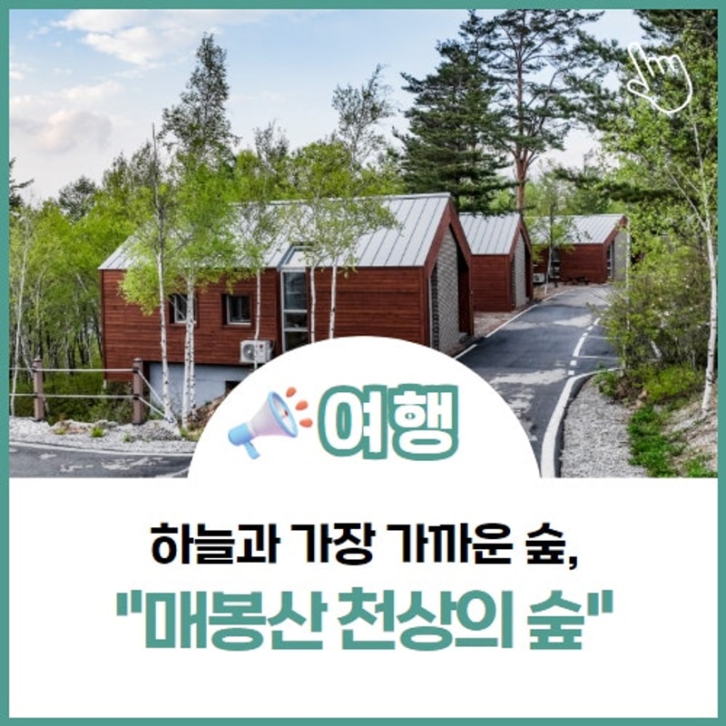 매봉산 천상의 숲, 캠핑장