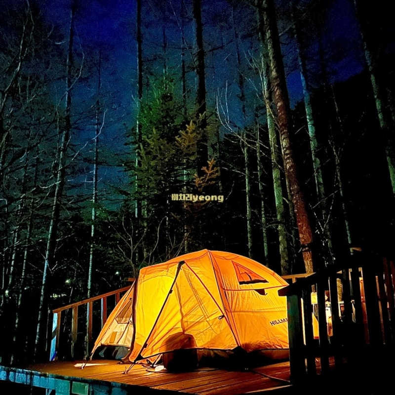 그리고 첫 솔캠 장소 : 늦가을 봉화여행[국립 청옥산 자연휴양림]