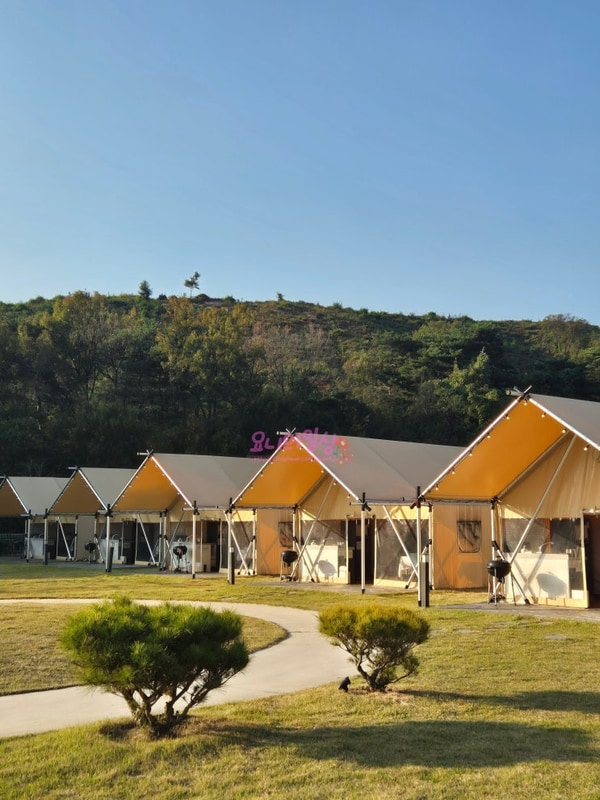 칠곡 왜관 글램핑, 대구 근교 글램핑_왜관힐포레글램핑...