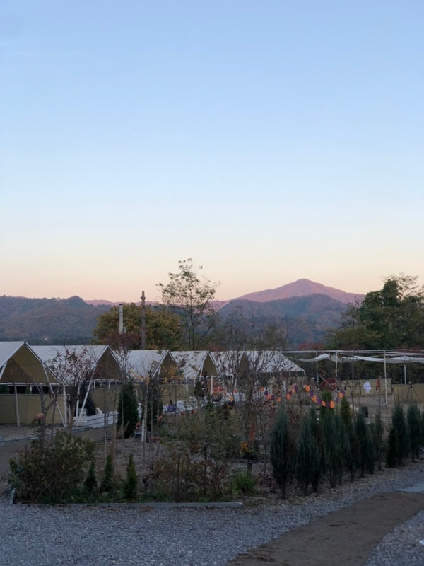 애견 동반 캠핑장 가평 나아정캠핑장 (사이트 4번)